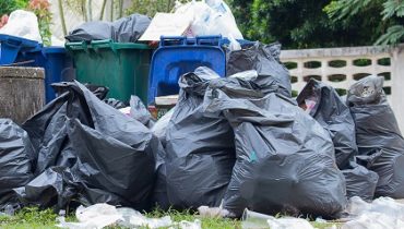 garbage removal services