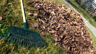 garden refuse removal